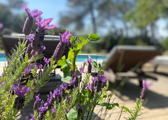 La Granja Appartement